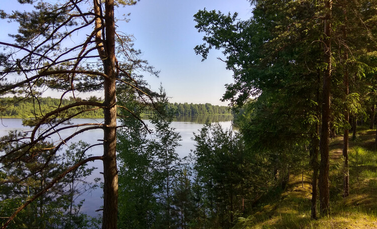 Зона отдыха Волкостье.