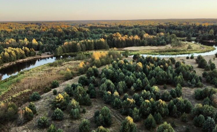 Золотая осень 