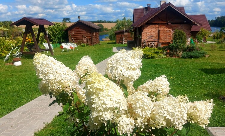 Агроусадьба «Орловские пруды»