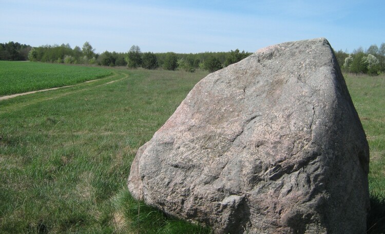 Farmhouse "Dorogobushka"