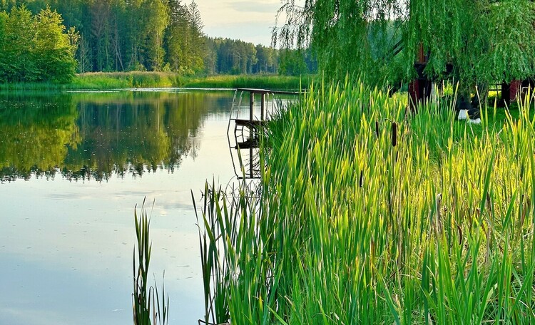 Усадьба «Клен» 