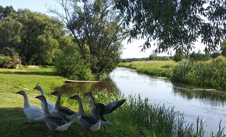 Банька у Таньки