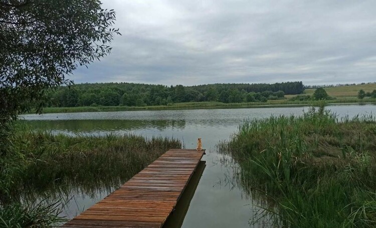 Дом на берегу озера «The lake house»