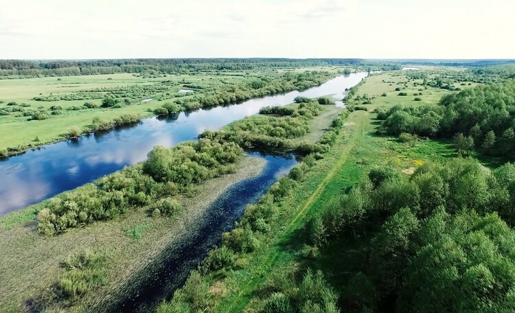 Усадьба «Березинская мечта» у реки