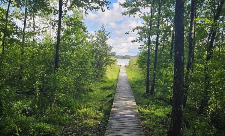 Апартаменты «Озерный» в VILLA FOREST HOUSE