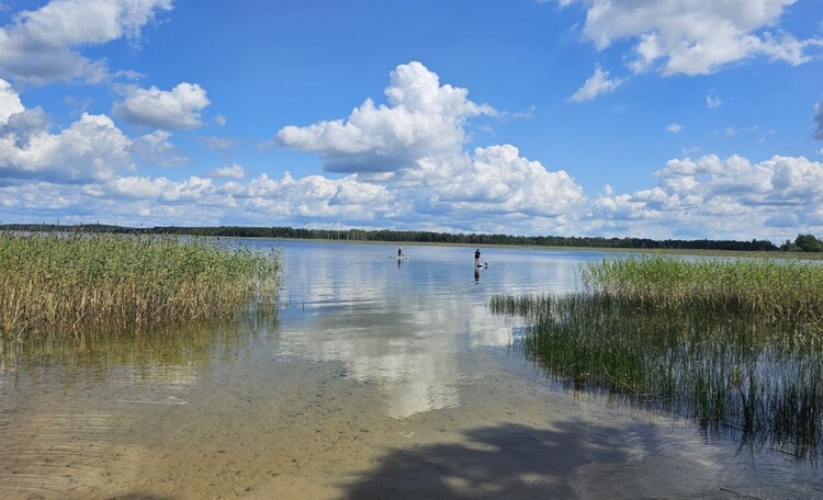 Озёрный в усадьбе Hygge Lakes & Forest Club