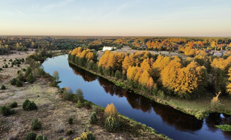 Щара осенью