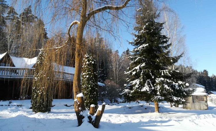 Усадьба «Лолуа»  