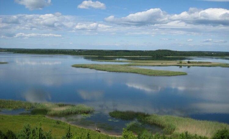 Оз.Недрово, какая же здесь знатная рыбалка....