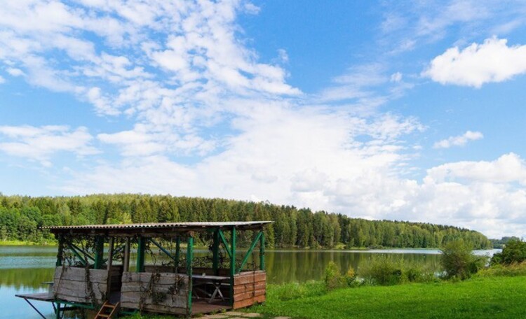 Агроусадьба «Магнолия»