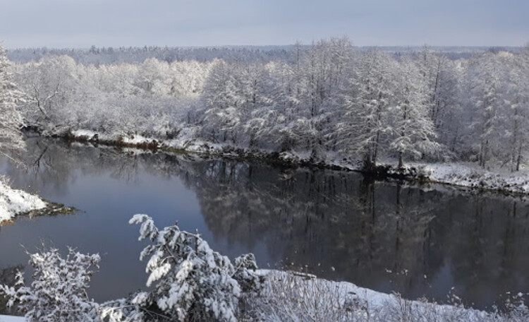  Estate "Circle of friends on the Berezina"