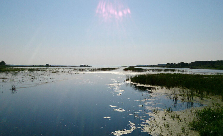 Водохранилище Селец