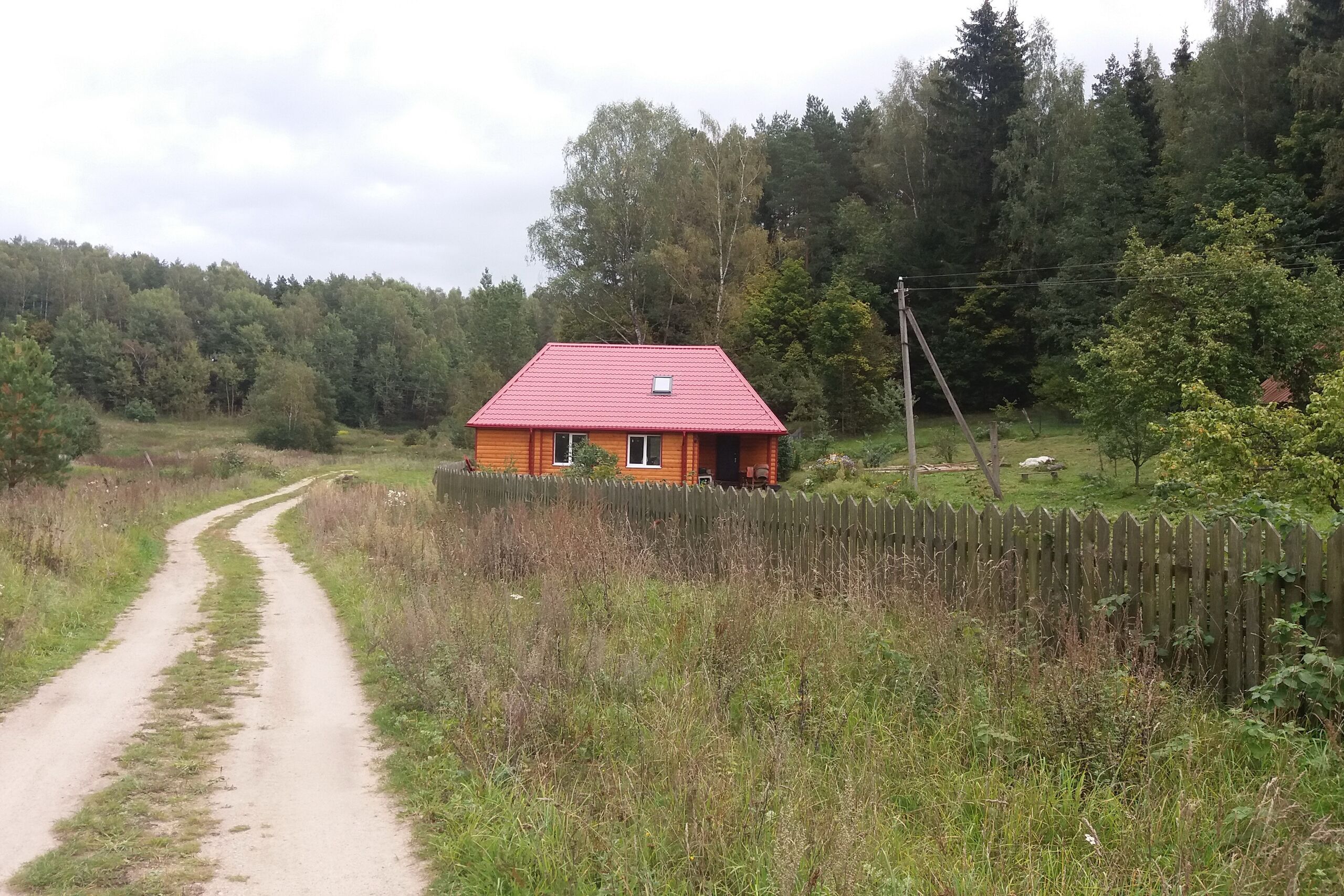 Снять хутор. Усадьба Хуторок в Беларуси река Лесная. Хуторок в лесу. Дом в лесу на хуторе. Володьки деревня.