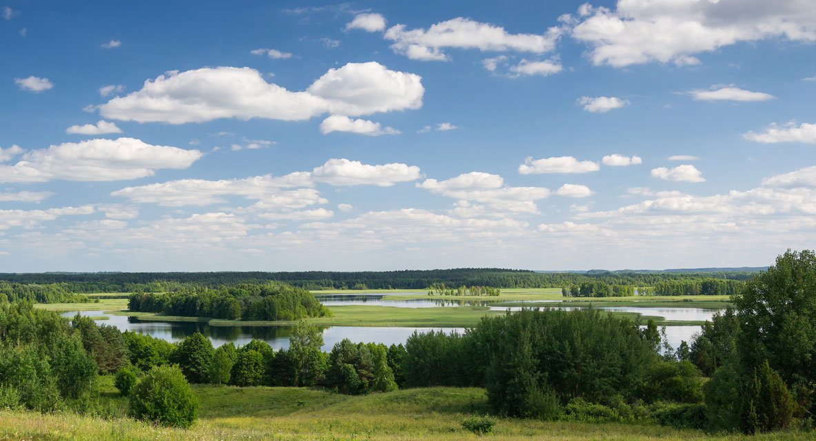 National Park "Braslav lakes", Озеро «Струсто» летом. 