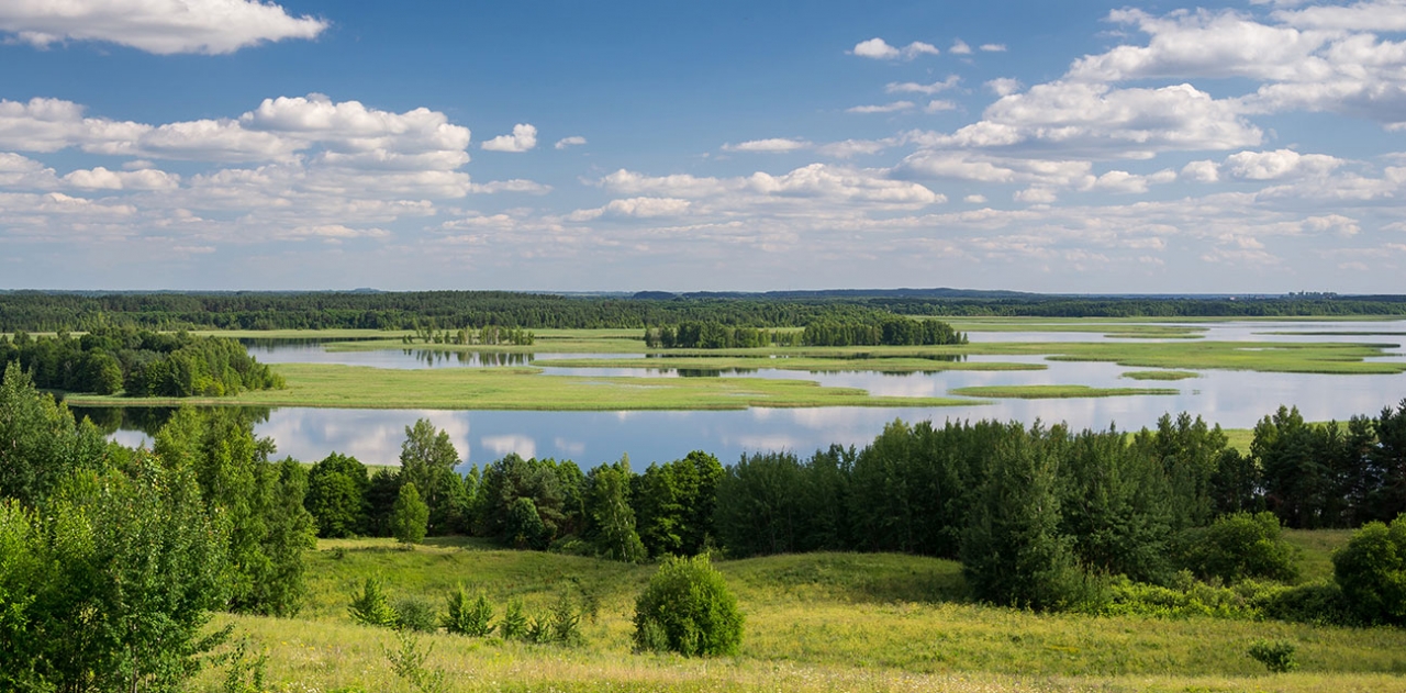Природные ландшафты Белоруссии