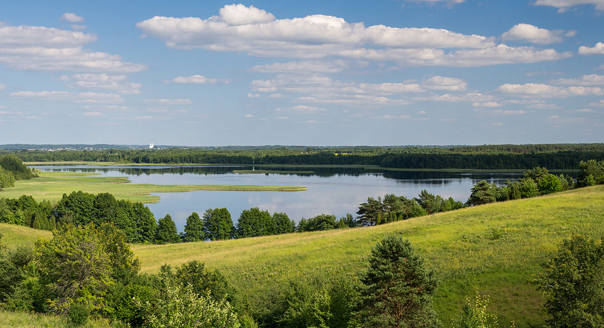 National Park "Braslav lakes", Озеро «Струсто» летом. 