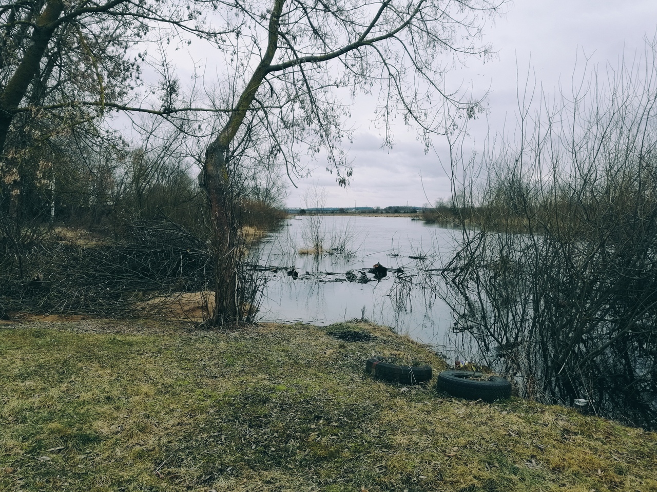 Столбцы