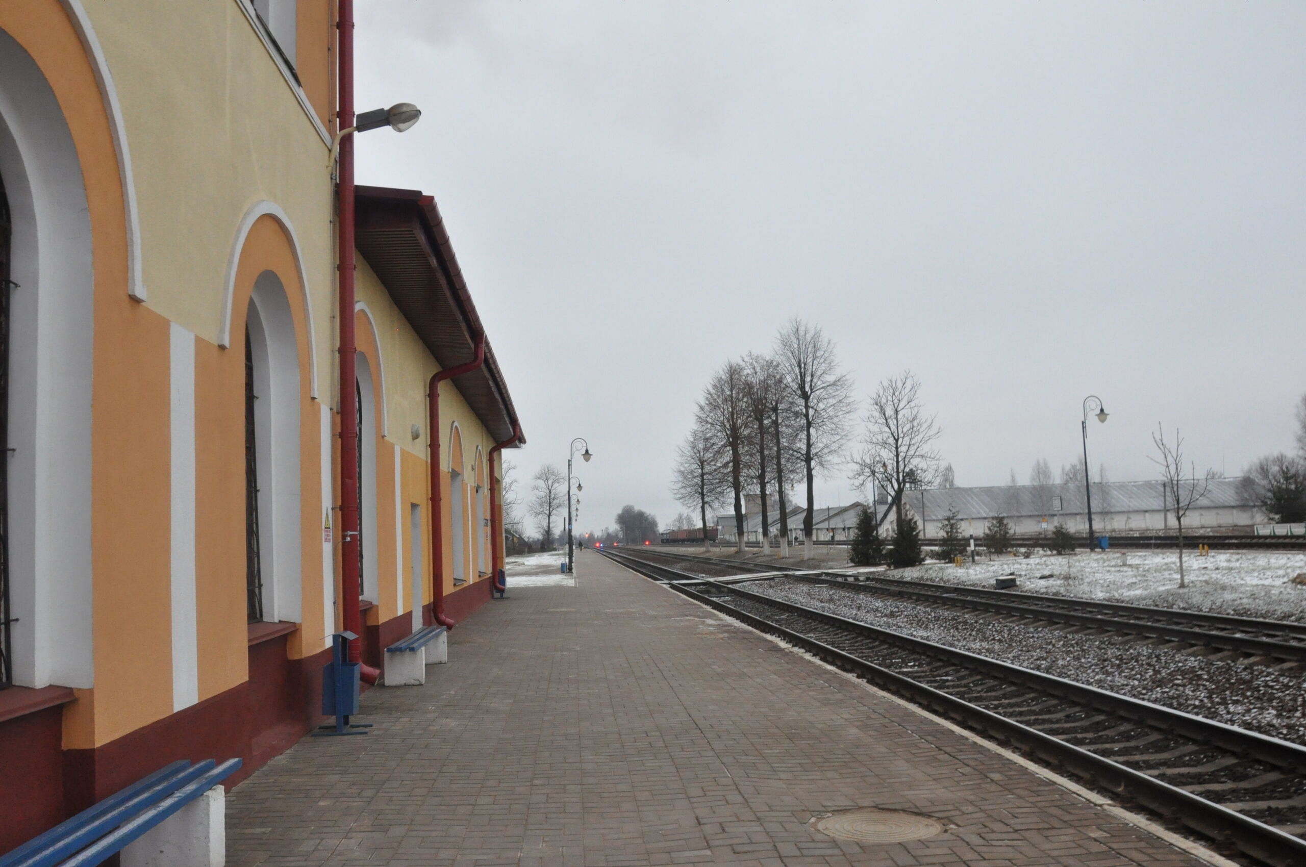 Там, где клен шумит…