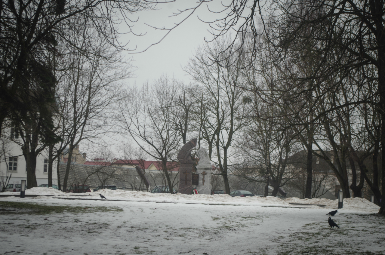 Гроднотерапия